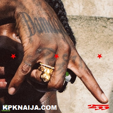 255 - Damage ft. Naira marley & Zinoleesky