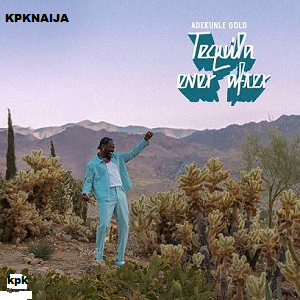 Adekunle Gold - Ogaranya mp3 download