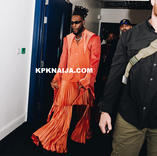 African Giant on the Spot: Burna Boy’s Controversial Mid-Performance Ejection at US Concert