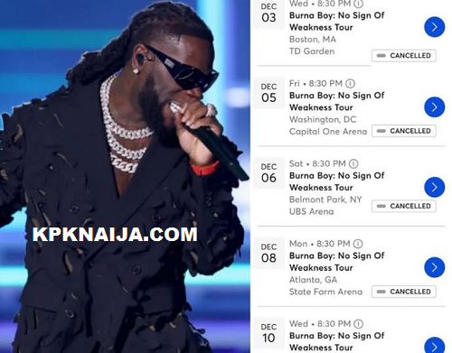 Afrobeats and Public Scrutiny: Examining Burna Boy’s Trajectory Under the Lens of Social Media