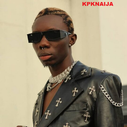 The Rise of Zlatan: From Talent Show Prize to Transport Business and Music Stardom