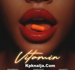Boybreed - Vitamin ft Moelogo & Amaeya mp3 download