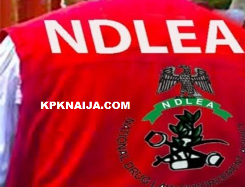 Coordinated NDLEA Operations Yield Major Results: 7.6M Tramadol Units and 76,000kg of Cannabis Intercepted