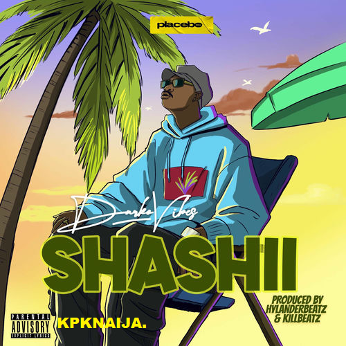 DarkoVibes - Shashii