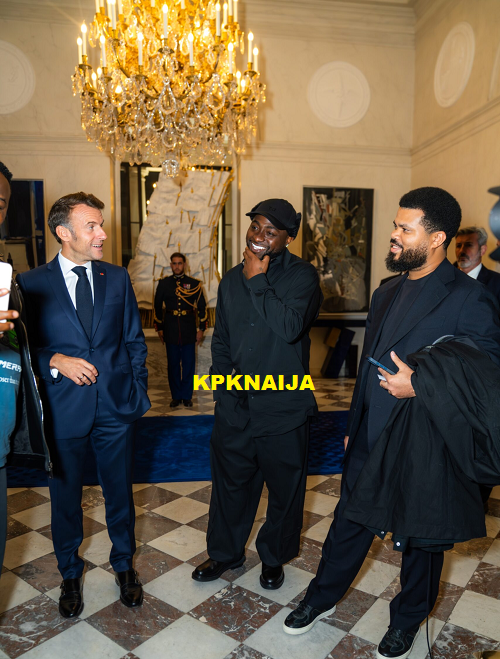 Davido and French President Macron Meet: Afrobeats Star's Global Diplomacy Role and Impact on France-Nigeria Relations