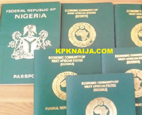 Diaspora Demands Urgent Government Action on NIN and Passport Challenges