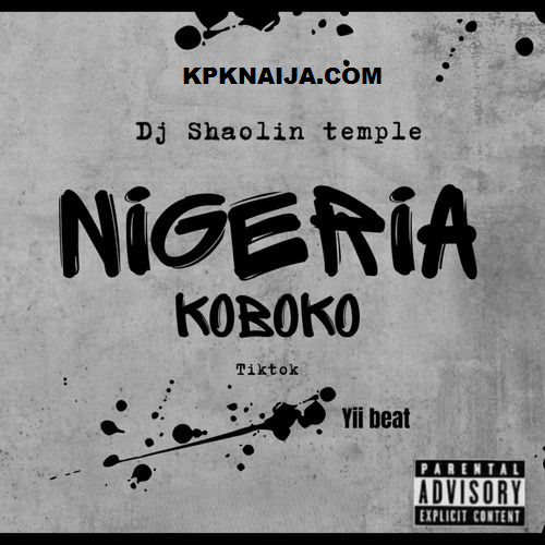 Dj Shaolin - Nigeria Koboko Tiktok Yii Beat