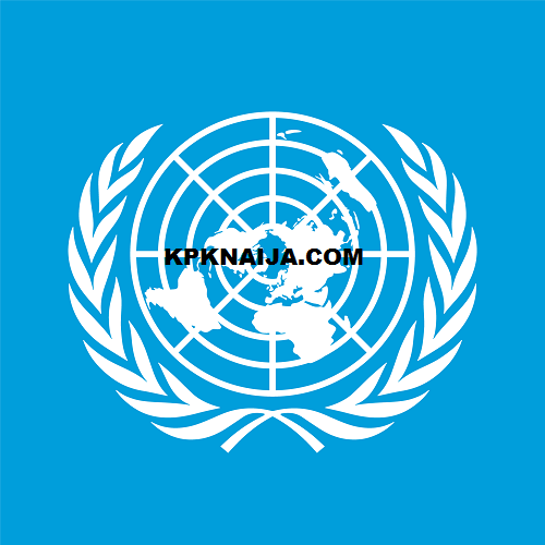 Global Femicide Crisis: UN Reports a Woman Killed Every 10 Minutes by Intimate Partner or Family