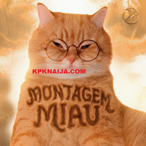 Lenar - Montagem Miau (Mp3 Download)