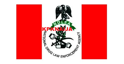 Massive Drug Bust in Edo State: NDLEA Seizes Over 1 Ton of Cannabis, Two Suspects Arrested