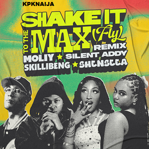 Moliy – Shake It To The Max (Remix Mp3 Download)