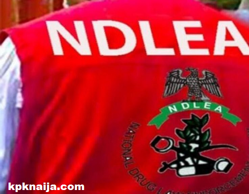 NDLEA Arrests Female Leader of Lagos Cocaine Syndicate; 23kg Found in Children’s Room