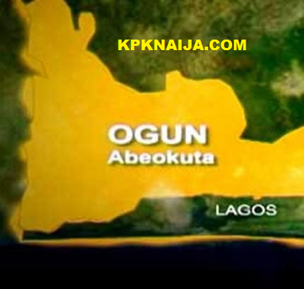 Ogun State Reports Over 500 Gender-Based Violence Cases in 11 Months