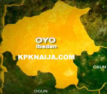 Oyo State Approves N3b Cocoa Rejuvenation Project to Restore Agricultural Economic Pillar