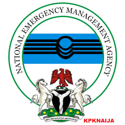 Policy Victory: Naira’s Triple-Appreciation Streak Validates CBN's Bold Economic Reforms