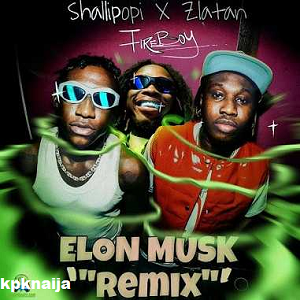 Shallipopi - Elon Musk ft Zlatan Mp3 Download