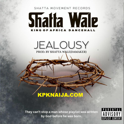 Shatta Wale - Jealousy