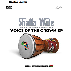 Download Shatta Wale - King In A Life (African Dancehall) Mp3