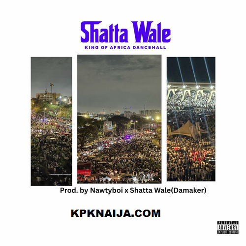 Shatta Wale - ShattaFest