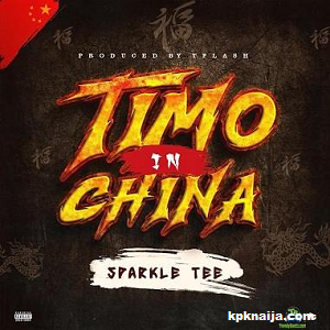 Sparkle Tee - Timo In China (MP3 Download)