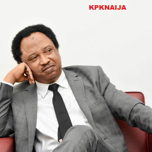 The Tinubu Presidency and Nigeria's Looming Crisis: Shehu Sani's Urgent Warning